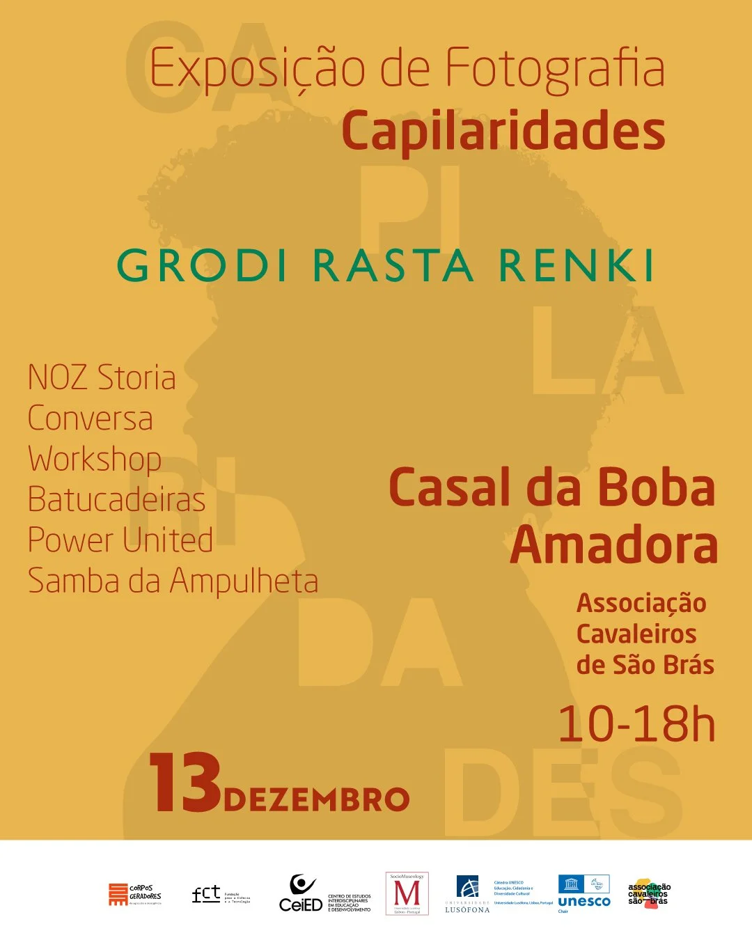 Cartaz13.jpg