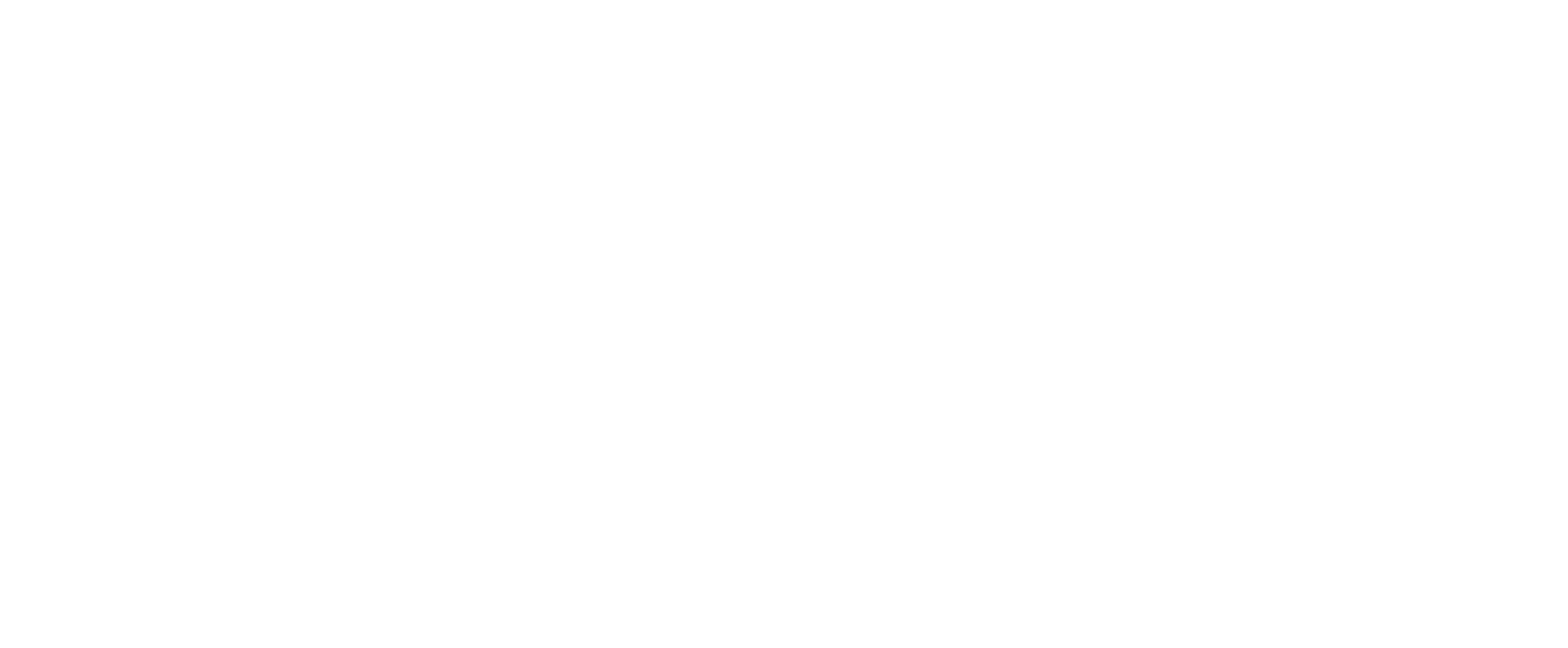 STICHTING L'OKAPI PRODUCTIONS logo