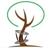 TLA champions limb reconstruction expertise at London conference