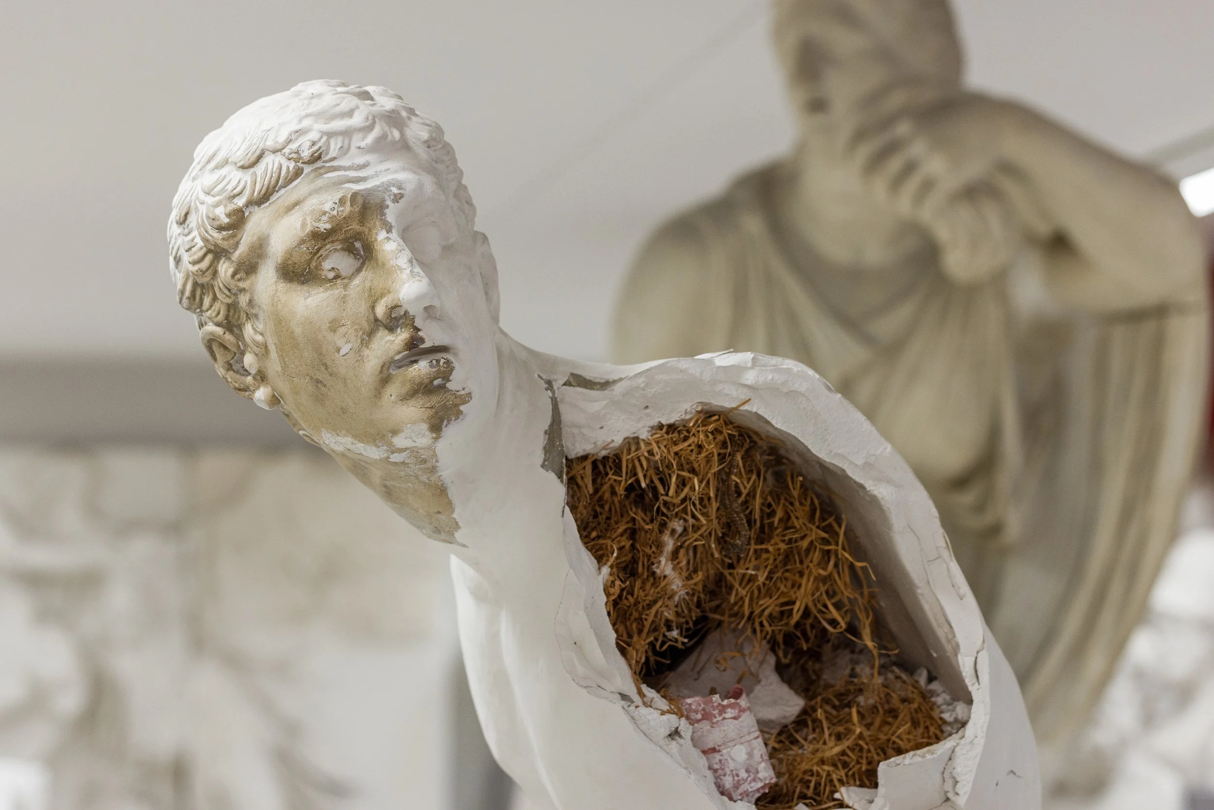 Skulptur eines zerbrochenen antiken Marmorstatues, zeigt den Oberkörper und den Kopf einer jungen Frau, mit einem Hohlraum im Oberkörper, der mit verrottetem Pflanzenmaterial gefüllt ist.