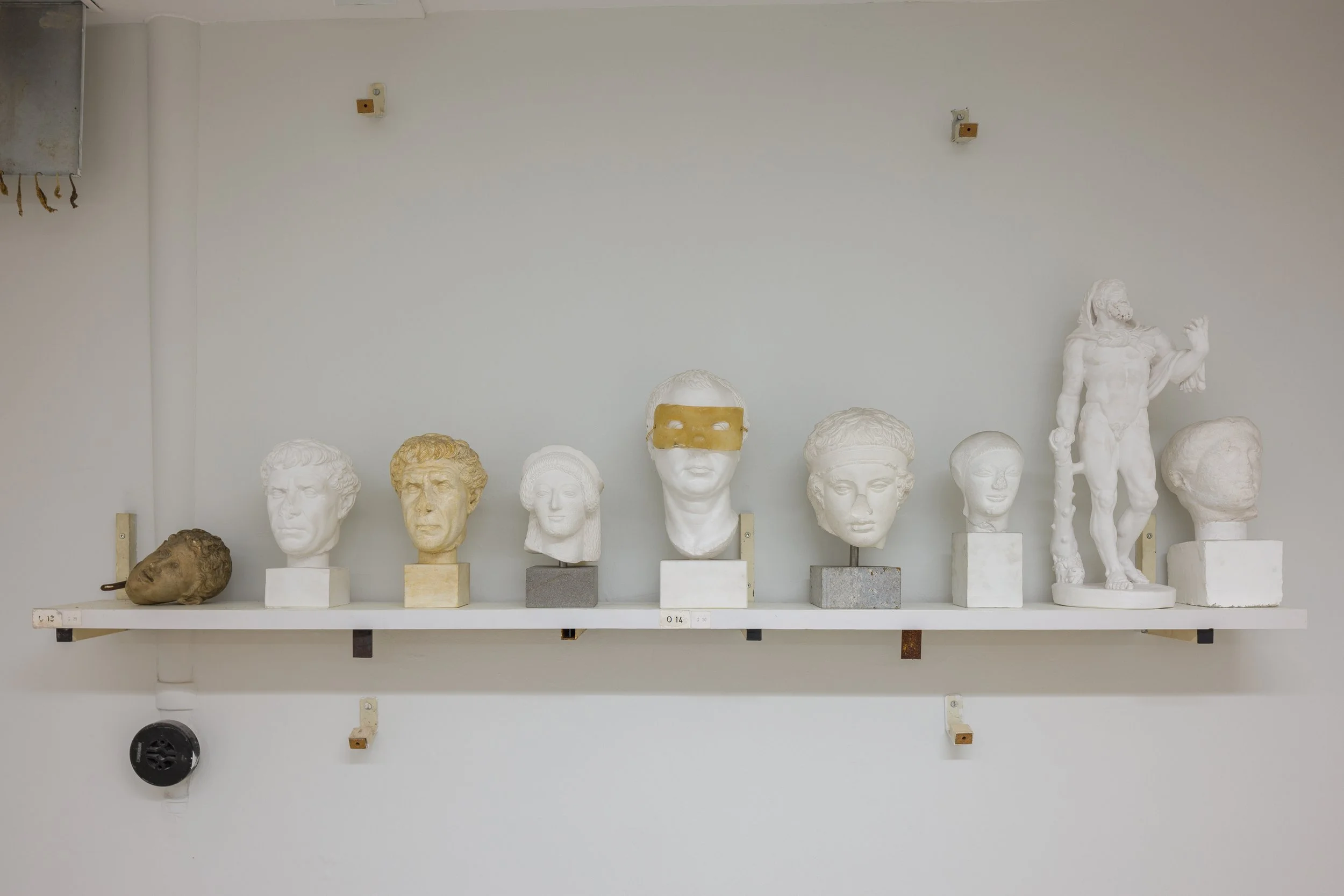 Verschiedene Skulpturen und Köpfe aus Marmor und Stein auf einer weißen Wandregal im Atelier.