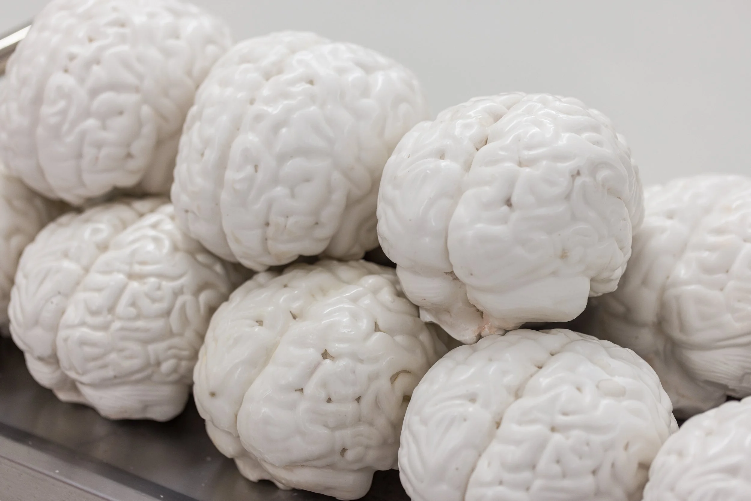 Mehrere weiße Gehirn-Attrappen oder -Modell im Nahaufnahme