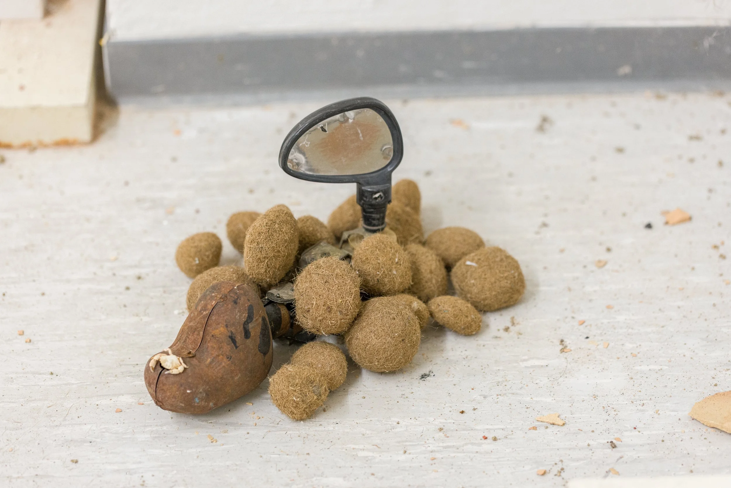 Ein toter Igel mit Ballaststoffen, umgeben von Sandburgen, auf einem Boden neben einem Eingang.