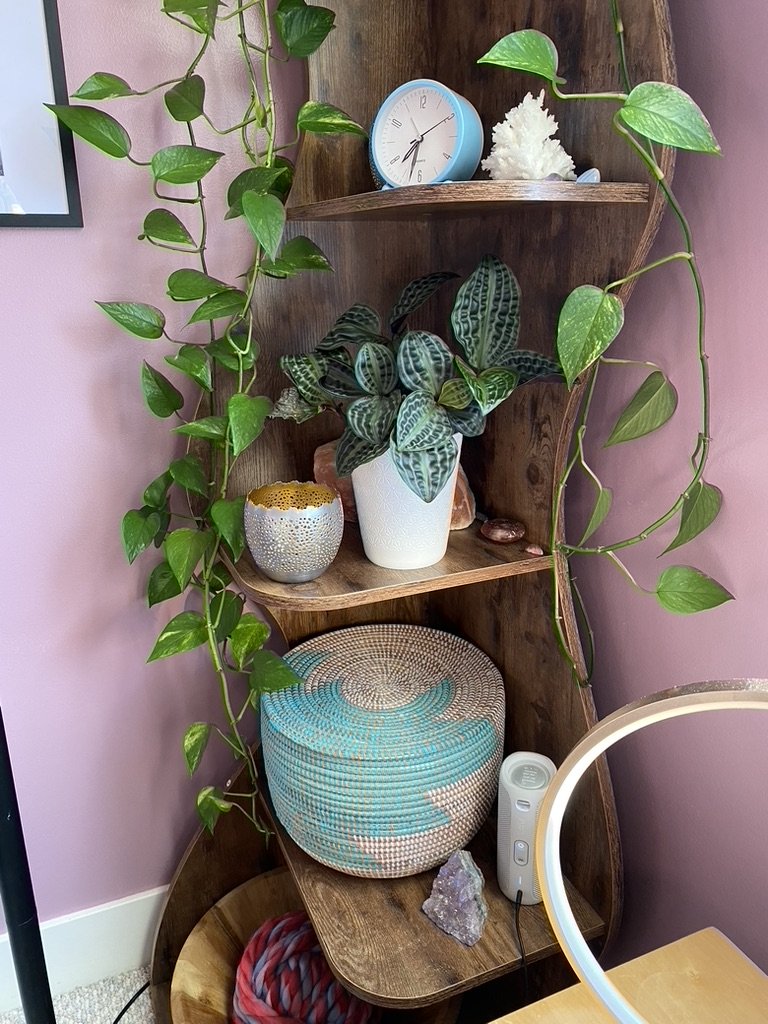 planty shelf.jpeg