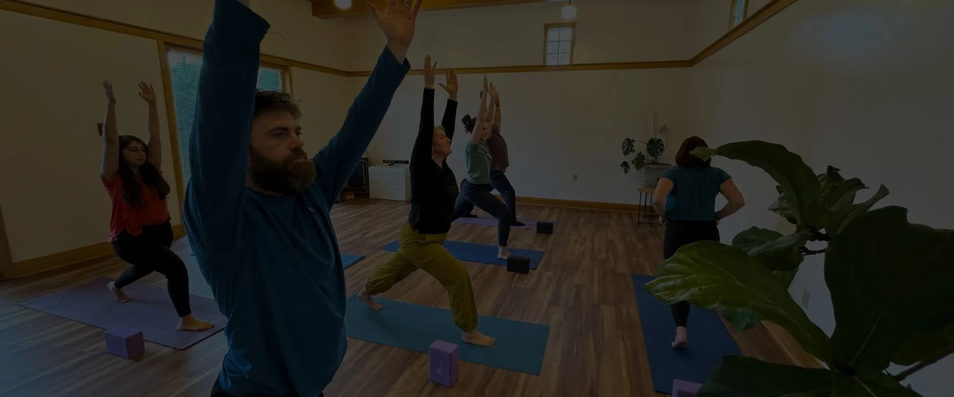 Odigo Wellness