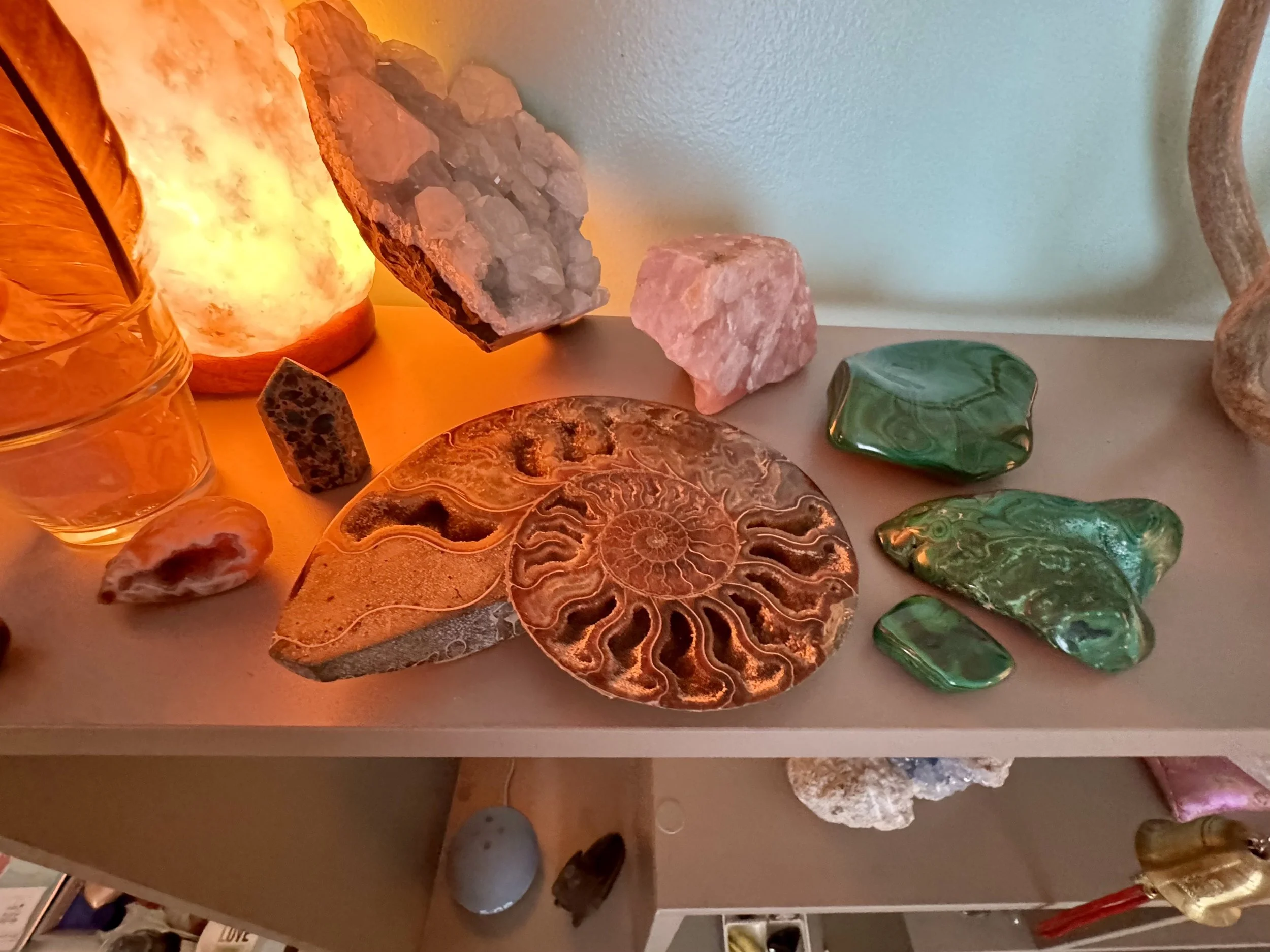 pretties on shelf 101 2.jpg