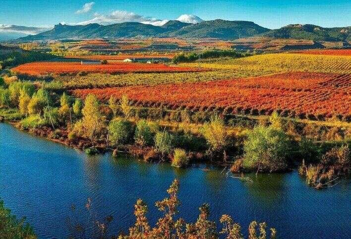 la-rioja-autumn_optimized_optimized_150_optimized_100.jpg