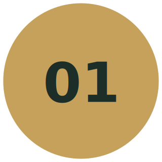 avelia-step-01