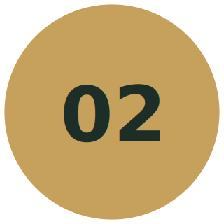 avelia-step-02