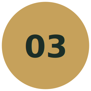 avelia-step-03