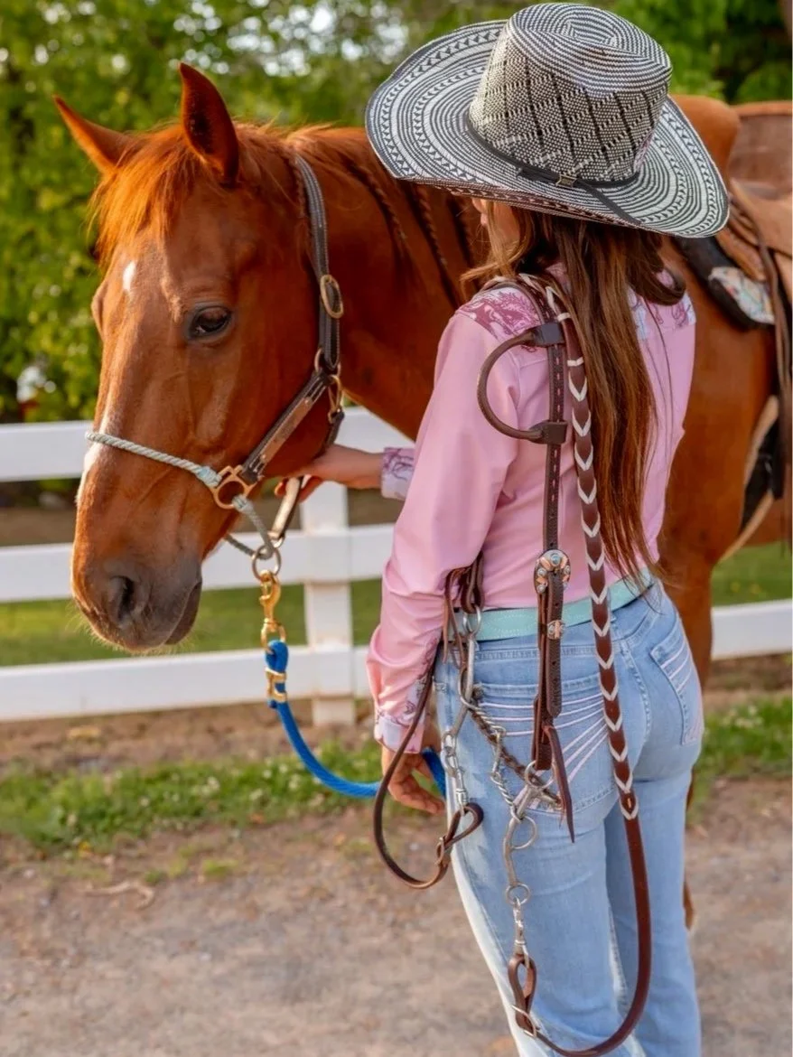7spink.horse.jpg