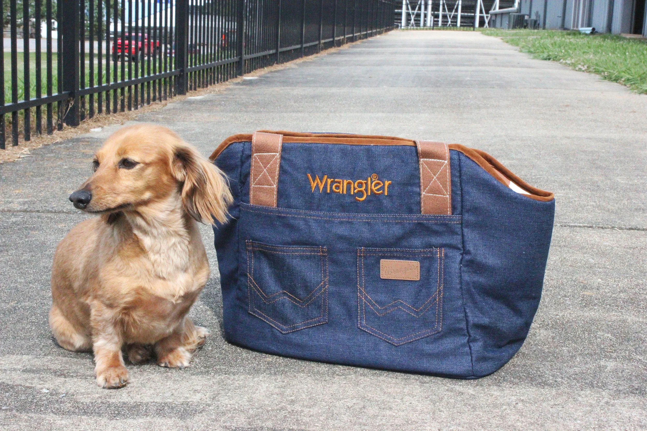 dogbag.sitting.png