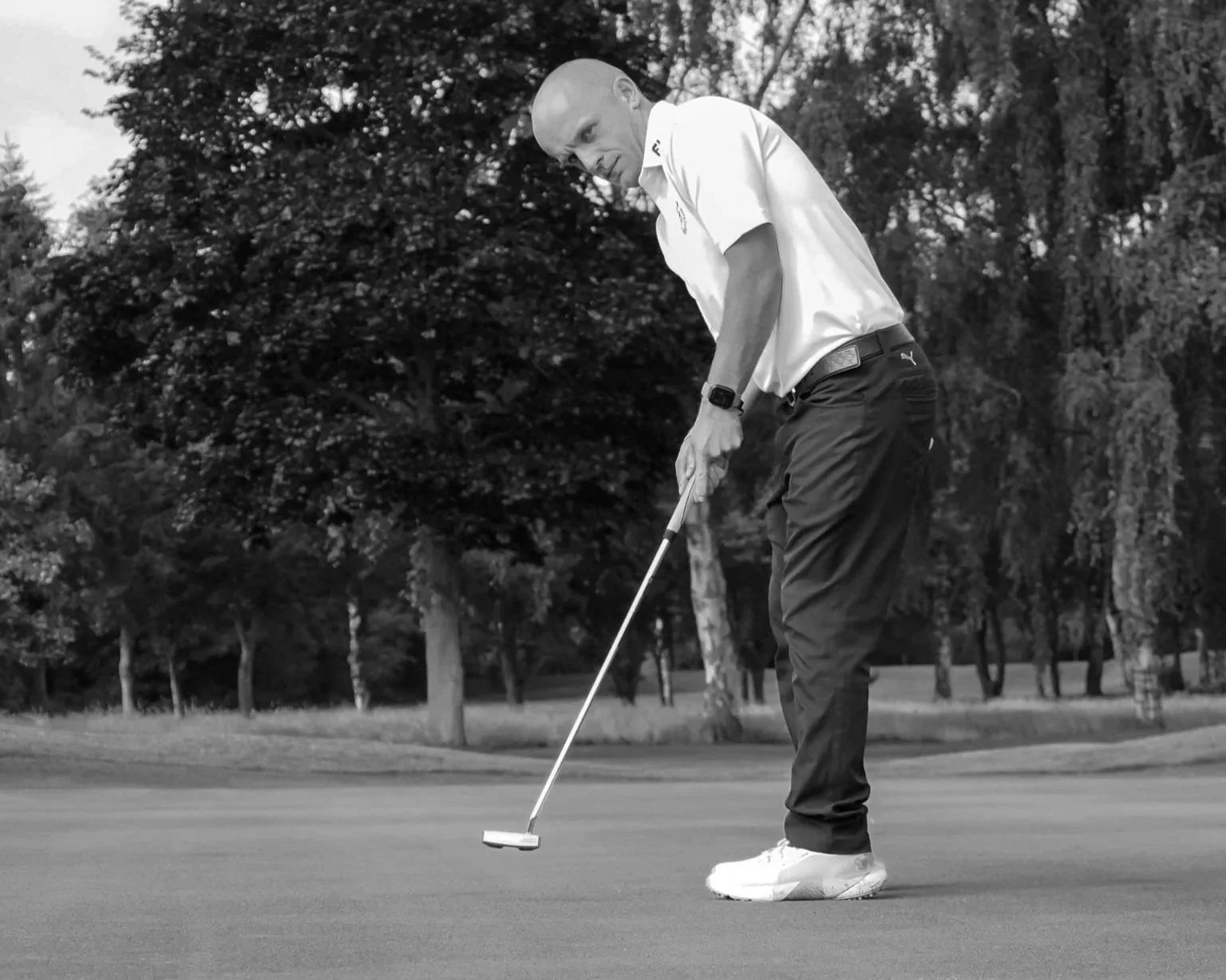 Man in white collared shirt and black pants putting on a golf course with trees in the background.