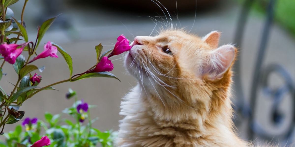 Spring Is In The Air… Let’s Prepare!