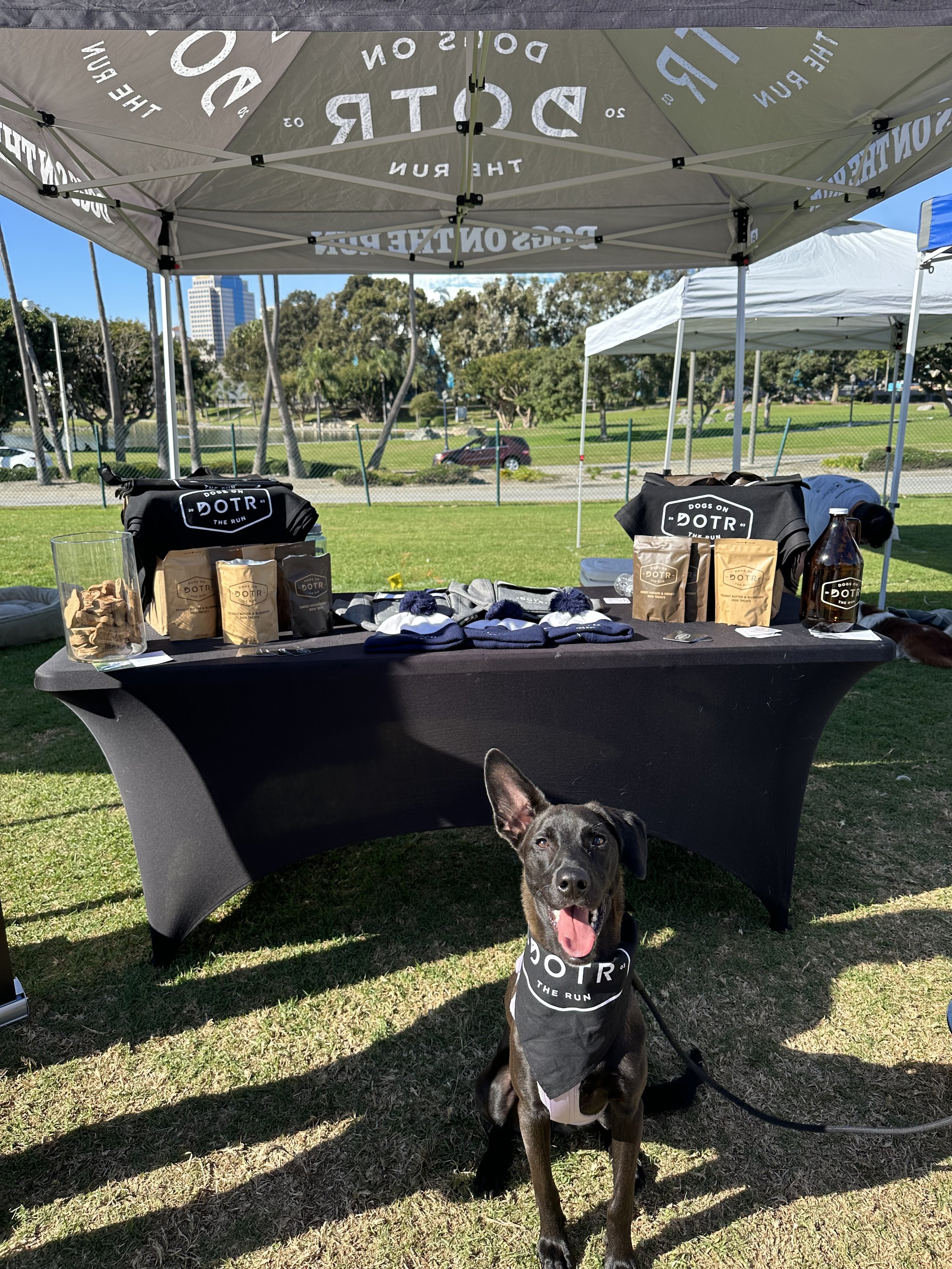 Community Comes Together at Paws in the Park in Lemon Grove</span>