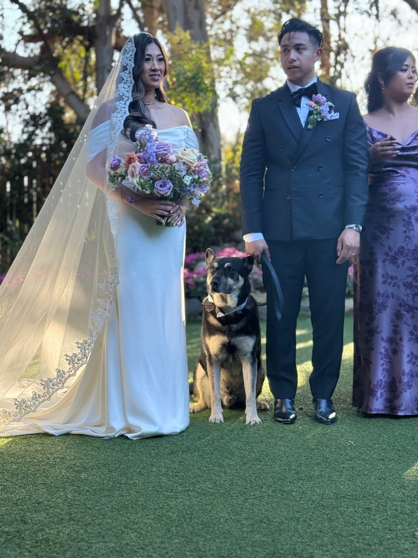 At Dogs on The Run, we believe your pets should be part of your special day! Our wedding pet chaperone service ensures your pets are included in those unforgettable moments. Imagine walking down the aisle with your beloved pup! 

Our dedicated profes