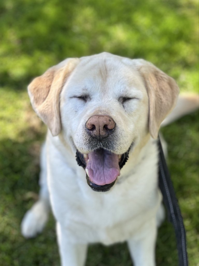 What Is a Reverse Sneeze — And Should You Be Worried?