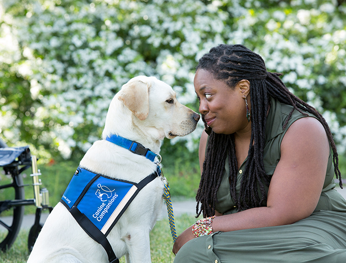 Canine Companions