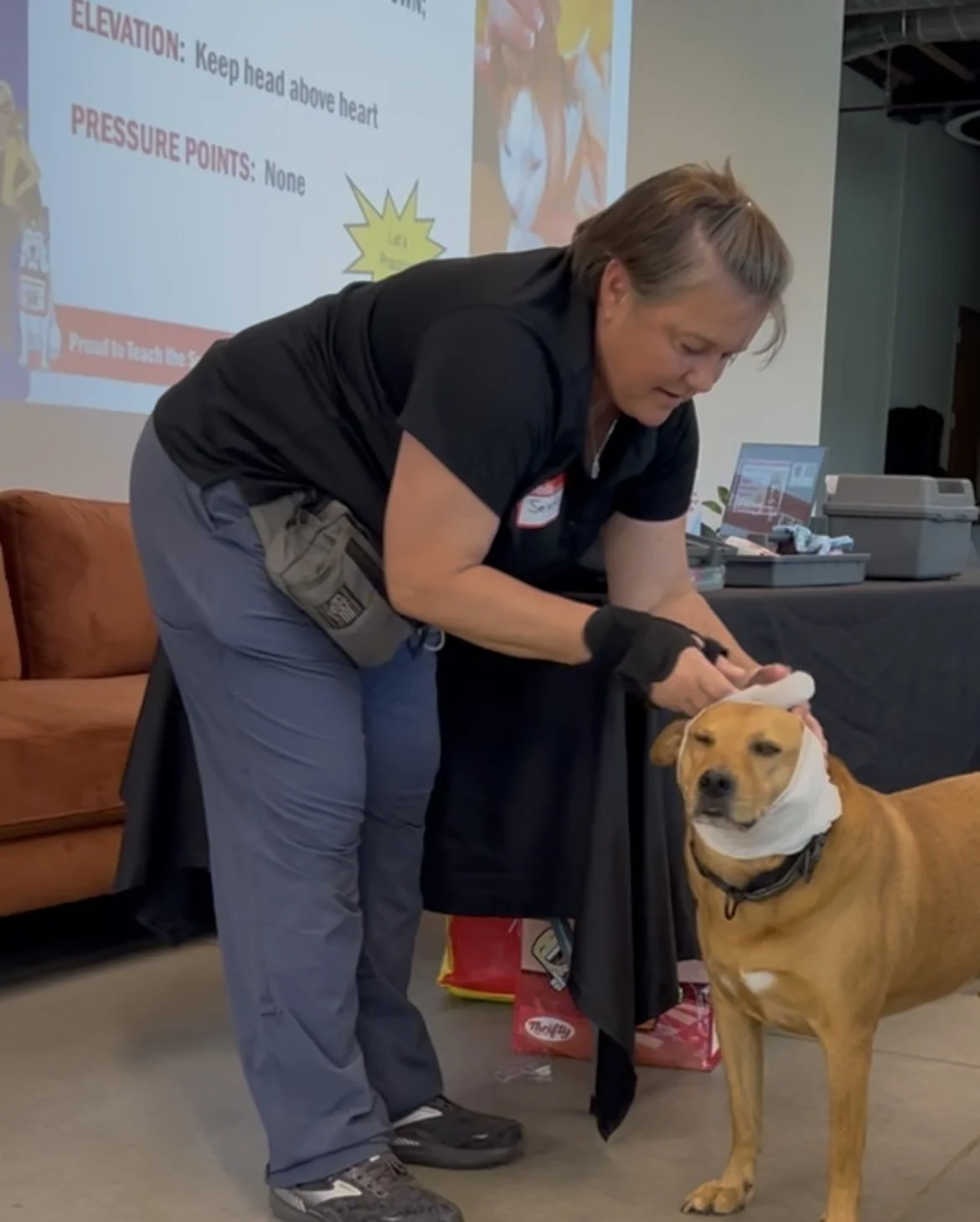 PET FIRST AID CERTIFICATION with Selena