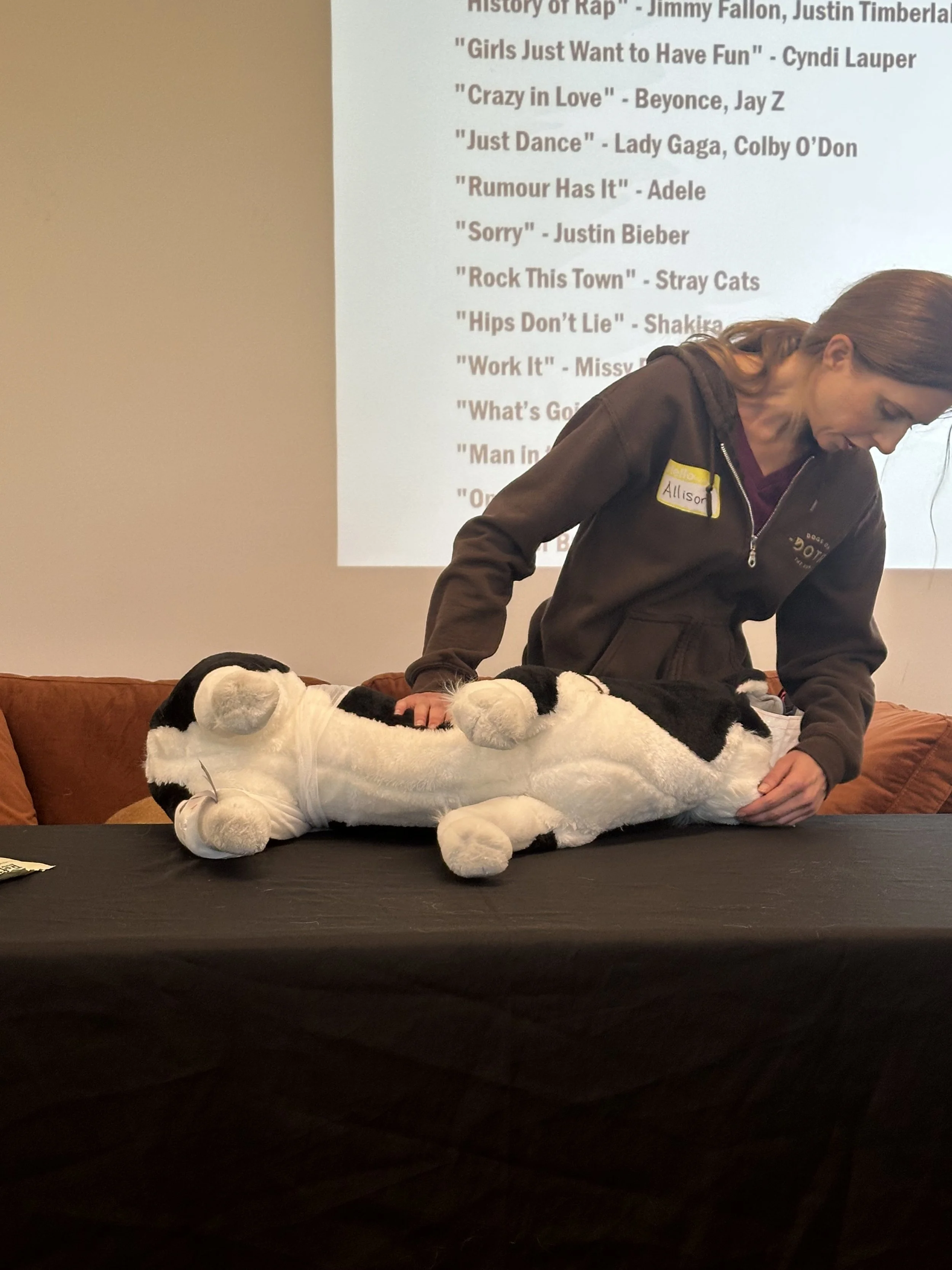 PET FIRST AID & CERTIFICATION WITH HOLLY