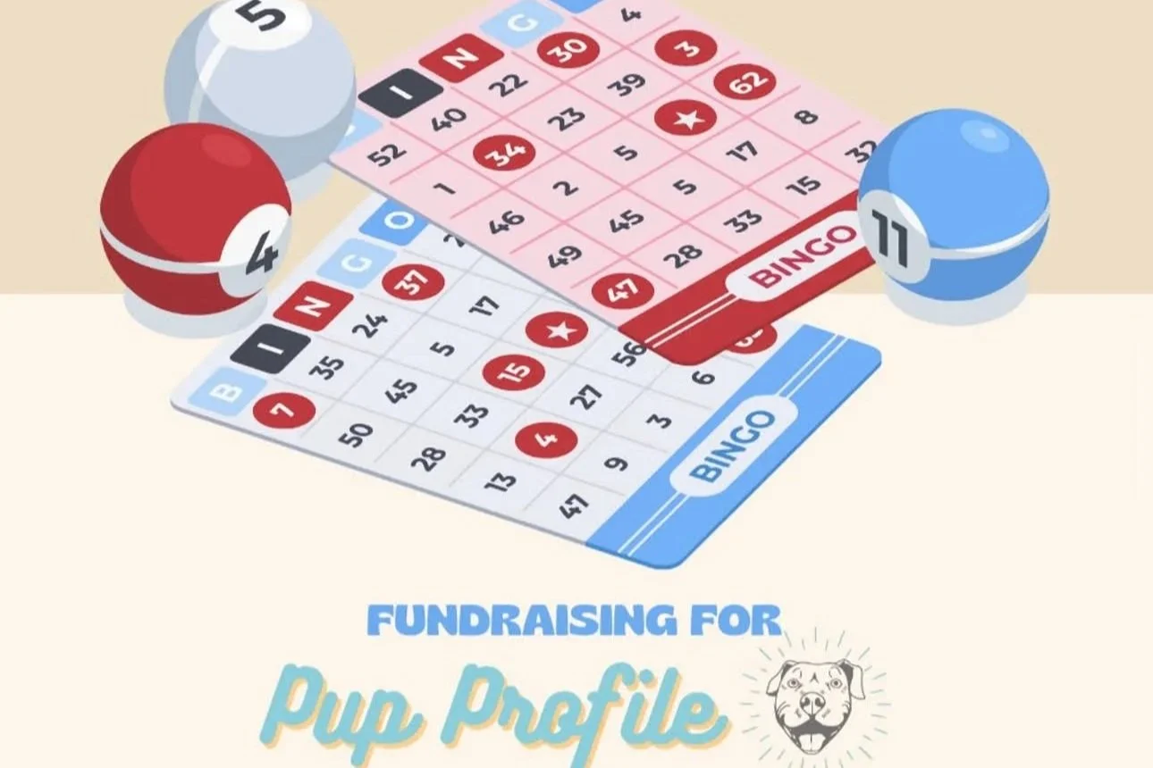 Pure Pawsh Bingo Night