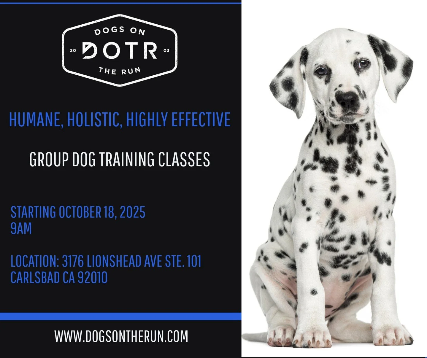 Group training classes start October 18th at 9am! Our certified trainers use humane, holistic, and highly effective methods to help your dog master essential skills.

Location: 3176 Lionshead Ave, Suite 101, Carlsbad, CA

Whether you're working on ba