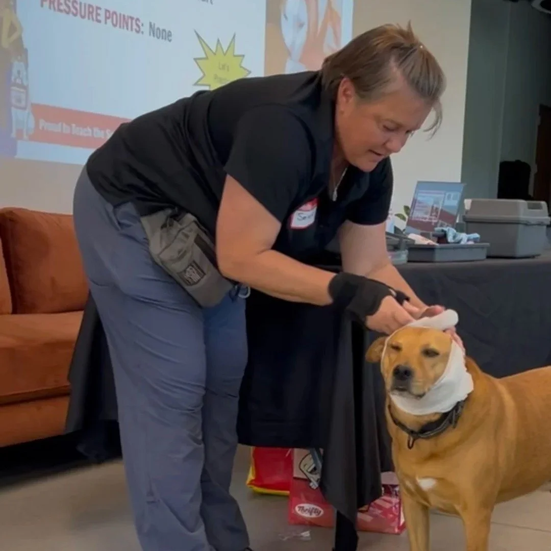 Be prepared to save your pet's life. Join us for Pet First Aid &amp; CPCR Certification with Selena, a comprehensive 5-hour hands-on course teaching essential emergency skills every pet owner needs. Learn vitals, choking management, bleeding injuries