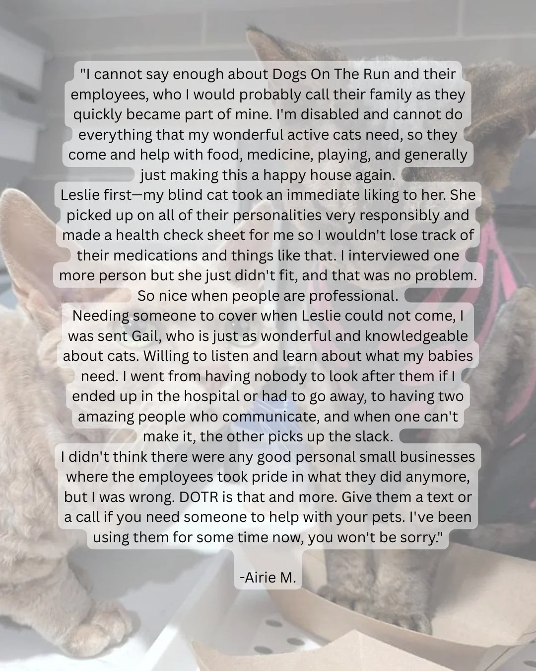 Thank you for trusting us with your precious cats! Leslie and Gail are truly special, and we're honored to be part of your family.

Experience the Dogs On The Run difference at www.DogsOnTheRun.com

#DogsOnTheRun #ClientTestimonial #CatCare #PetCare 