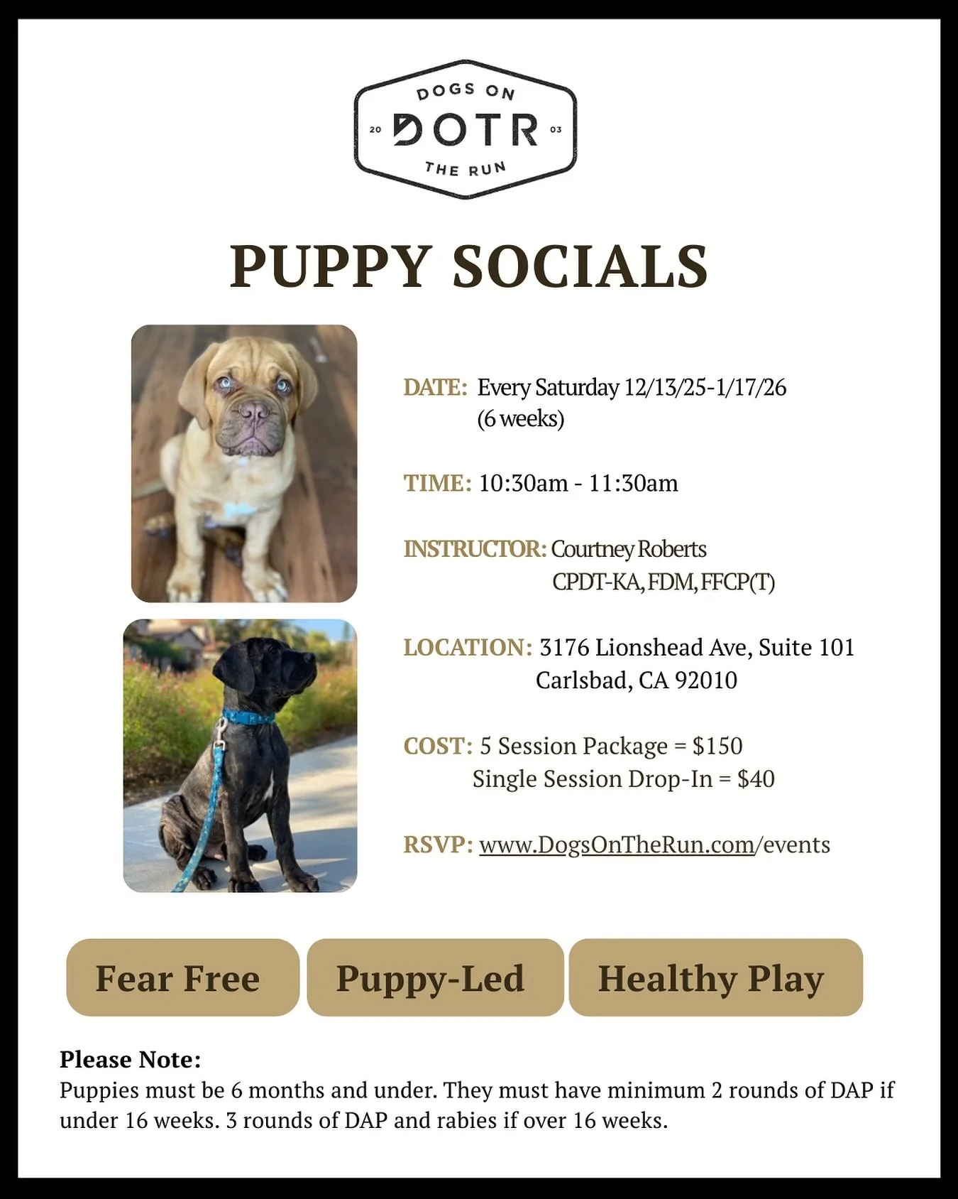 Join us for the new era of puppy socialization with @wag_works! Set your puppy up for a lifetime of behavioral stability and resilience with mindful and puppy-led exposure to novel sights, sounds, smells, people, and dogs! 

Click the link below to s