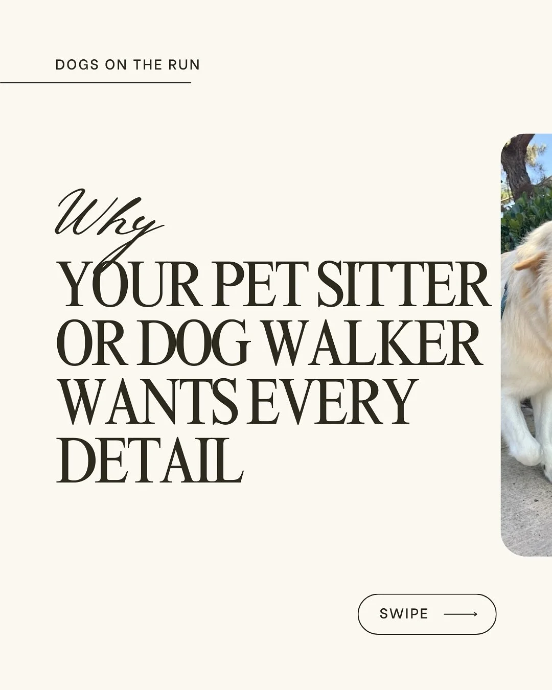 At Dogs On The Run our network of pet care professionals understands that caring for your pet is about more than showing up. It is about understanding their personality, preferences, fears, and rhythms.

Learn more at www.dogsontherun.com

#dogsonthe