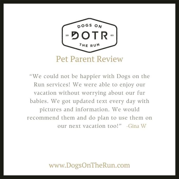 Grateful for pet parents who trust us with their fur families. Knowing you can enjoy your time away with true peace of mind is exactly why we do what we do. Thank you, Gina, for the kind words and for choosing Dogs On The Run.

Discover trusted, stre