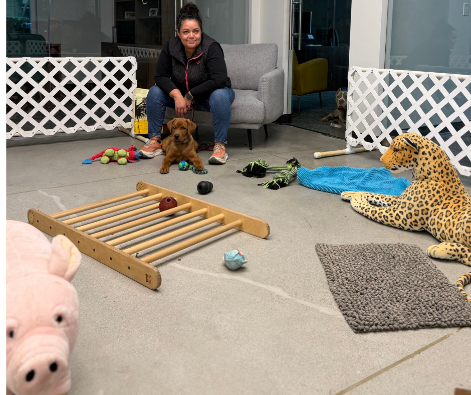 Puppy Socials: Thoughtful Beginnings, Confident Futures