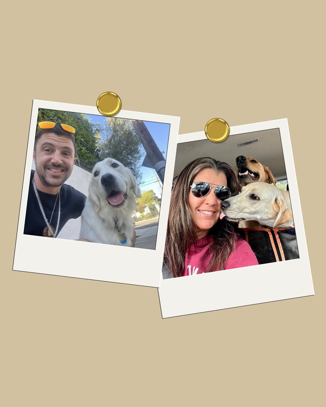 A 2025 Reflection, Pet care, Thoughtfully Delivered