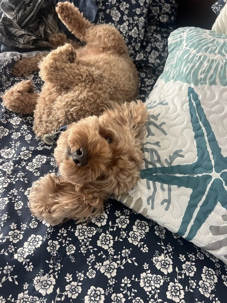 Creating a Calm Exit Instead of a Rushed Goodbye