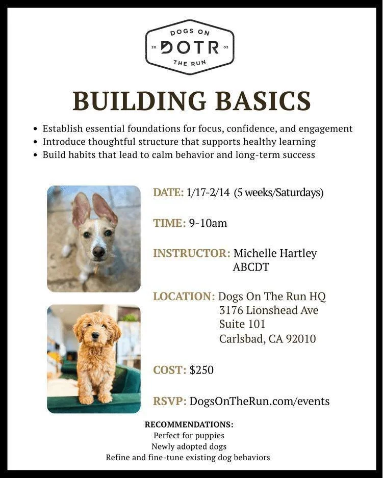 Establish the essential foundations your dog needs for long-term success. Our 5-week Building Basics course focuses on confidence, engagement, and calm behavior. Whether you have a new puppy, a rescue, or just want to fine-tune existing skills, this 
