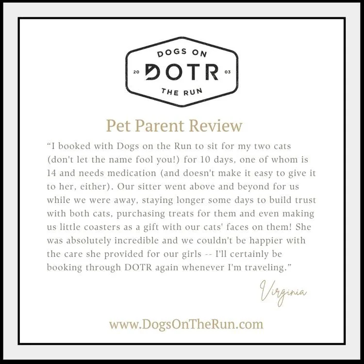 "Don't let the name fool you."

We provide exceptional care for cats too. Virginia's sitter went above and beyond for her two cats&mdash;including a senior who needs medication&mdash;by staying longer to build trust and even making custom c