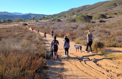 Frosted Fakers Sunday Hike: Barnett Ranch Preserve