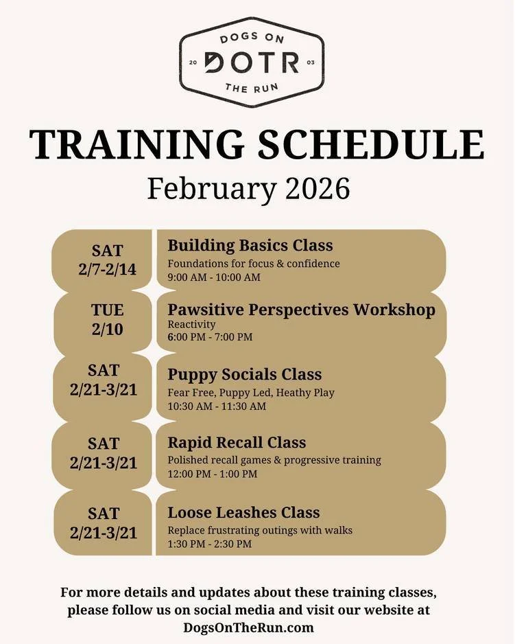 February training lineup is here! From puppy foundations to advanced skills, we've got classes for every dog and every goal.

Building Basics: Sat 2/7-2/14 | 9:00-10:00am
Pawsitive Perspectives - Reactivity: Tue 2/10 | 6:00-7:00pm
Puppy Socials: Sat 