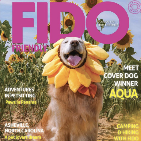 Dogs On The Run Featured on the Fido Friendly Podcast