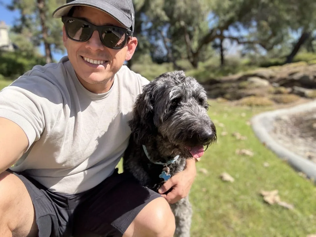 Allergy Season for Pets: What to Watch for This Spring