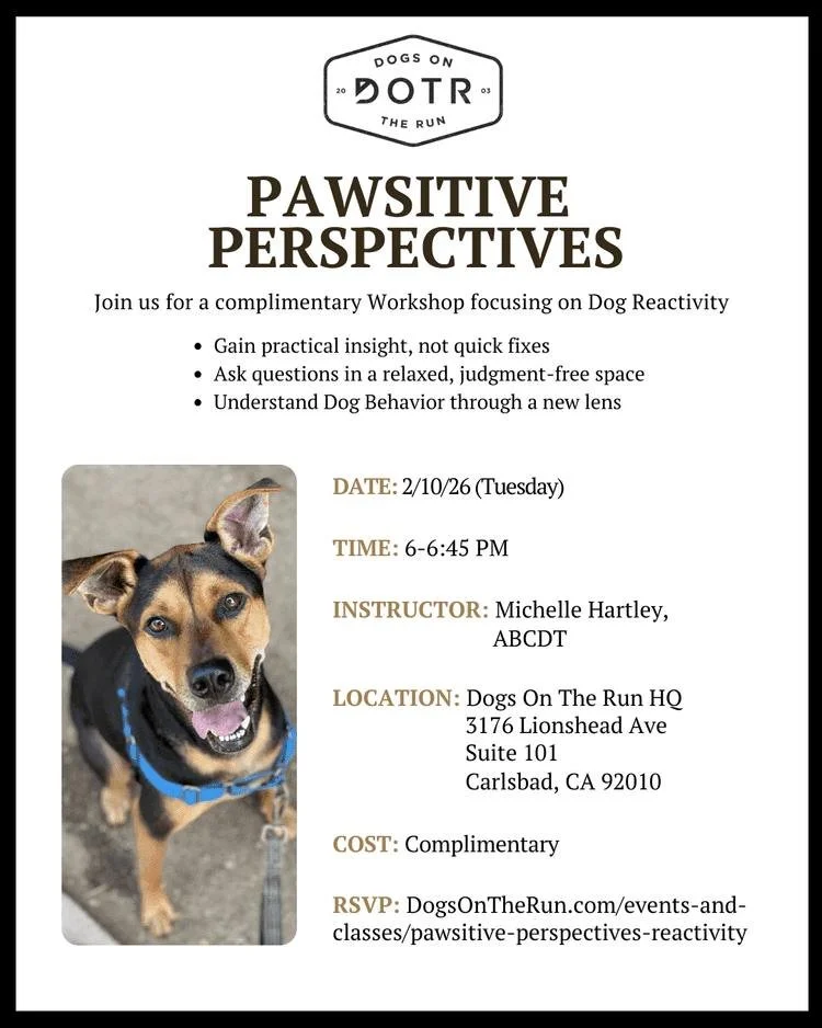 Understanding reactivity starts with the right perspective. Join us for a FREE workshop focused on dog reactivity - gain practical insight, ask questions in a judgment-free space, and understand behavior through a new lens.

Date: Tuesday, 2/10/26 
T