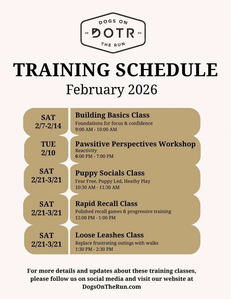 February training is here! From puppy foundations to advanced skills, we've got classes for every dog and every goal.

Building Basics: Sat 2/7-2/14 | 9:00-10:00am 
Pawsitive Perspectives - Reactivity:Tue 2/10 | 6:00-7:00pm (FREE) 
Puppy Socials: Sat