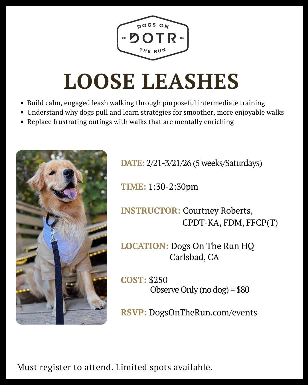 Tired of frustrating walks where your dog pulls the entire time? Our Loose Leashes class teaches you why dogs pull and how to build calm, engaged leash walking through purposeful training.

Replace stressful outings with walks that are mentally enric
