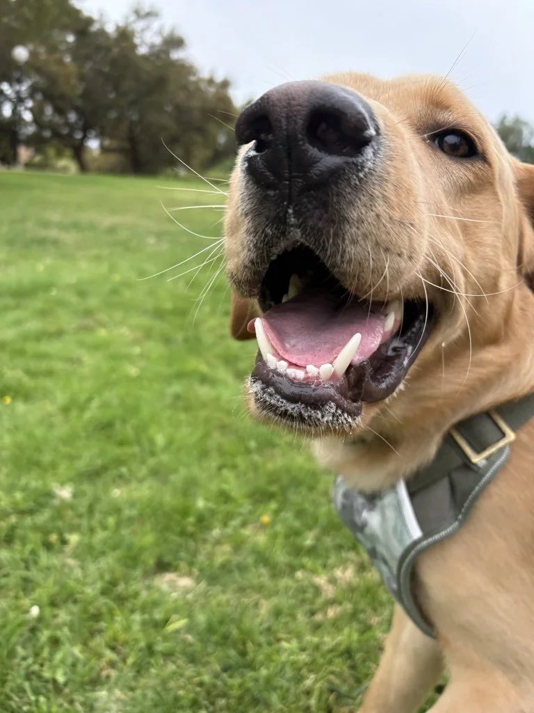 Amazon Ruined Expectations; And We’re Glad It Did