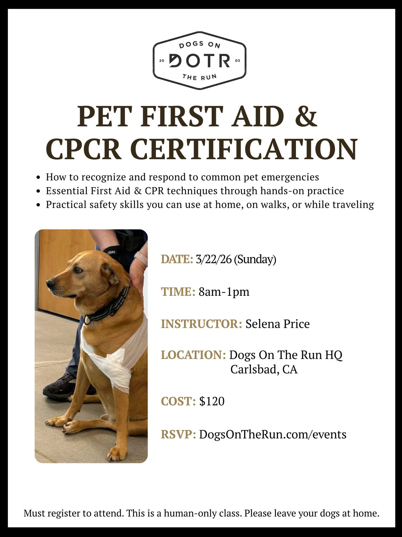 Could you save your pet's life in an emergency? Our Pet First Aid and CPCR Certification class teaches you to recognize and respond to common pet emergencies through hands-on practice. Learn essential lifesaving skills you can use at home, on walks, 