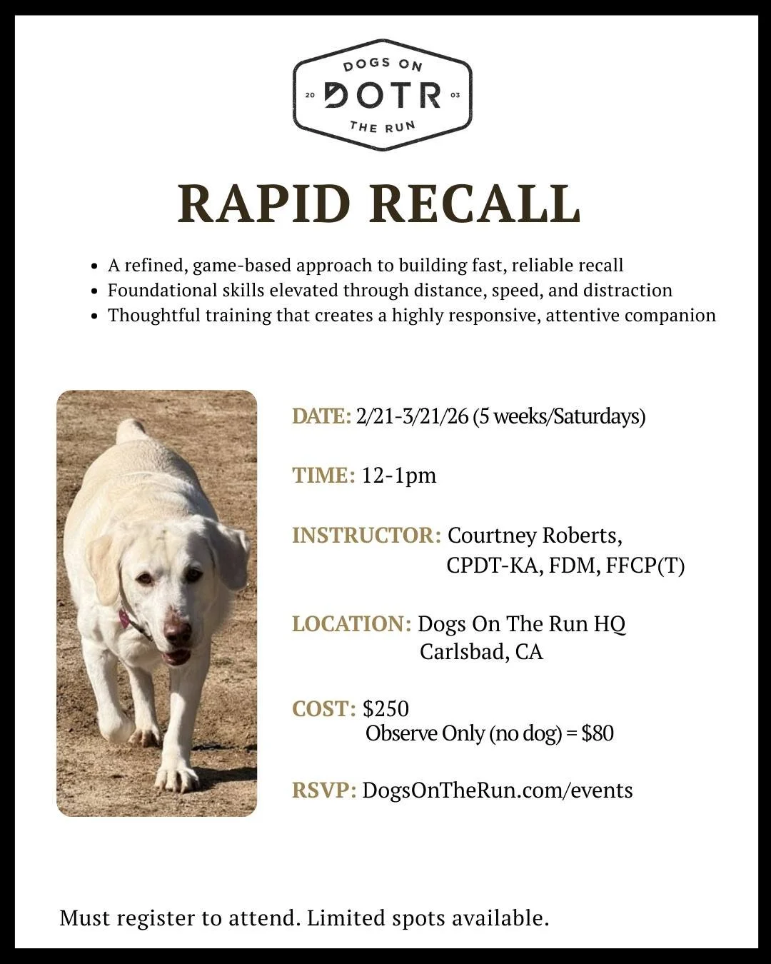 Only 2 spots left in Rapid Recall! This class starts THIS SATURDAY and is almost full.

Build a fast, reliable recall through game-based progressive training. Foundational skills are elevated through distance, speed, and distraction challenges. Creat