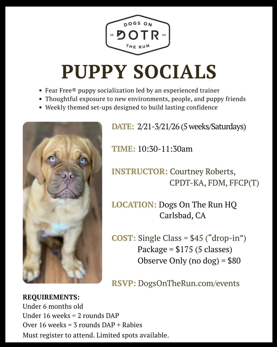 Puppy Socials are in full swing! There's still time to join for safe, supervised socialization that builds lasting confidence. Weekly themed sessions provide exposure to new environments, people, and puppy friends.

Perfect for puppies under 6 months