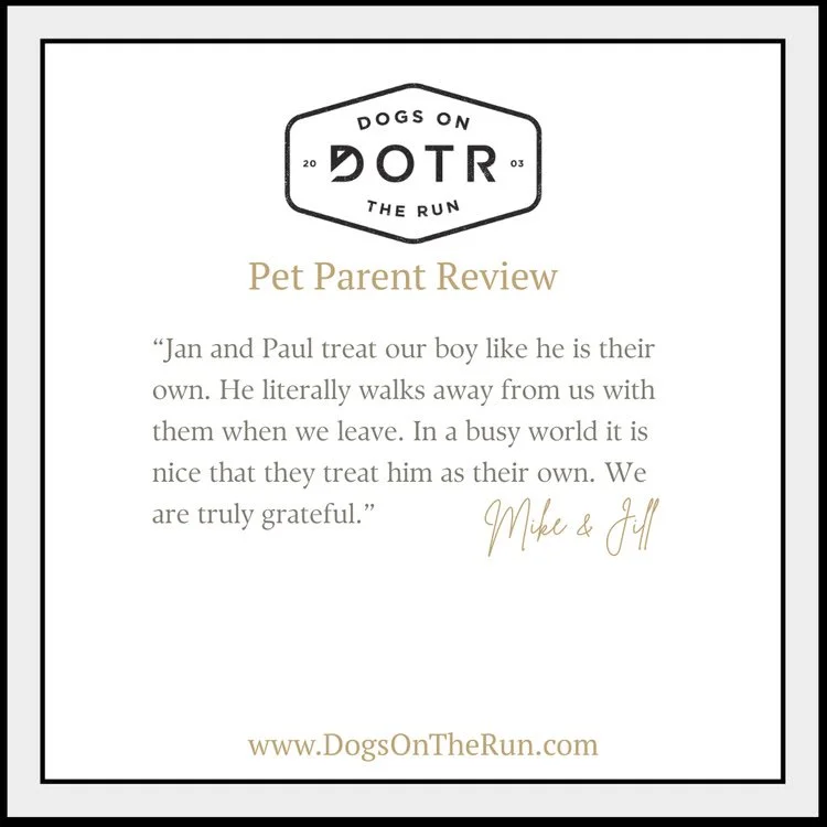"He literally walks away from us with them when we leave." This is the trust every pet parent deserves. When your dog eagerly goes with their caregiver, you know you've found the right match.

Jan and Paul have found that peace of mind with