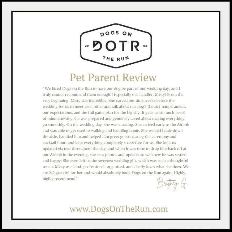 Your dog can be part of your special day with the right support. Brittany hired Dogs On The Run for her wedding, and Misty made sure Louie was calm, comfortable, and ready for his big moment.

From pre-wedding prep to seamless day of coordination, Mi