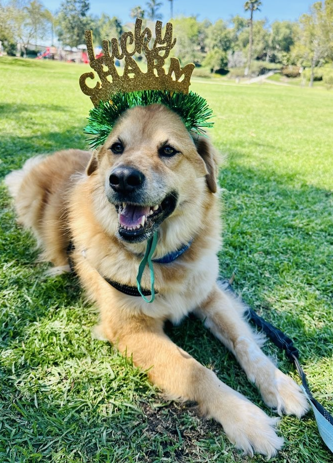 Screenshot 2026-03-17 at 2.35.26 PM.png